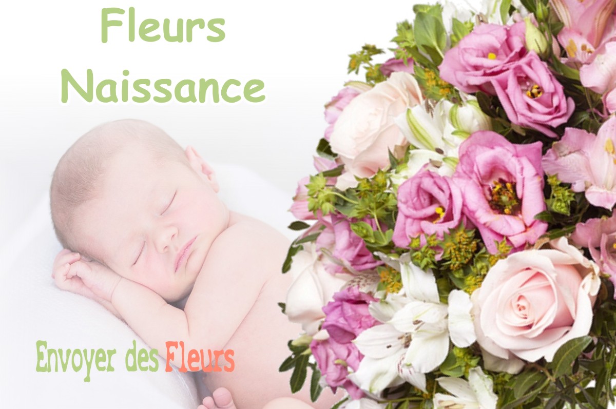 lIVRAISON FLEURS NAISSANCE à CLERMONT-LE-FORT